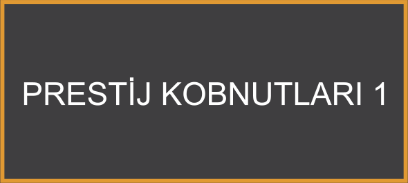 Prestij Konutları 1