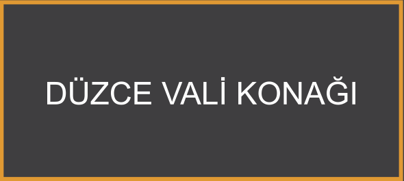 Düzce Vali Konağı